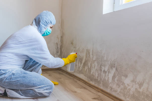 Mold Remediation specialist working in Lake Worth